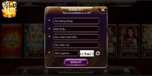 Tổng quan đăng ký nhatvip