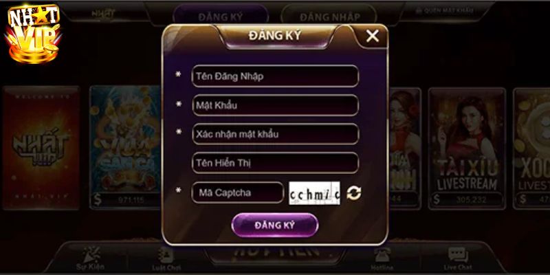 Tổng quan đăng ký nhatvip